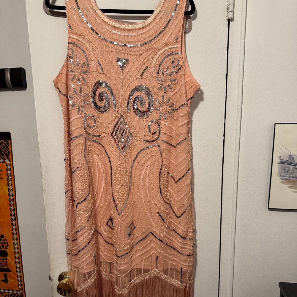 Pink and sivler flapper 1920 dress